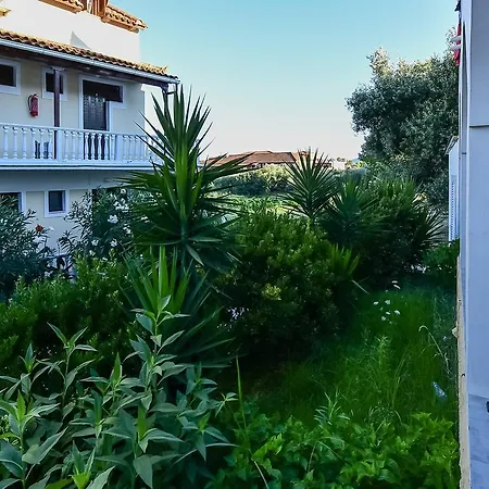 Phoenix 라가나스