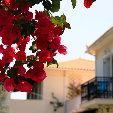 Phoenix Aparthotel 3*