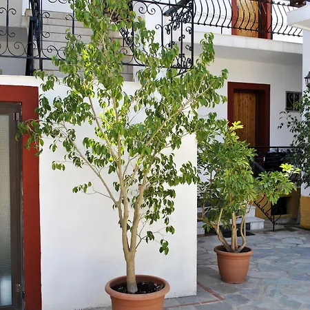 Phoenix Ξενοδοχείο με διαμερίσματα Λαγανάς